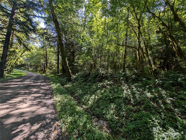 99994 Dowans Creek Rd, Forks, WA 98331