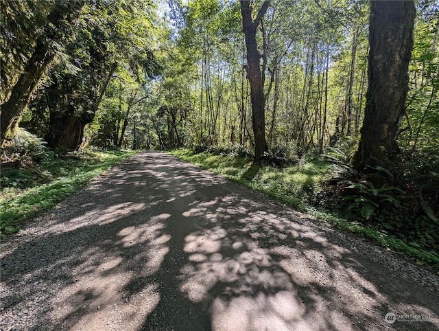 99994 Dowans Creek Rd, Forks, WA 98331