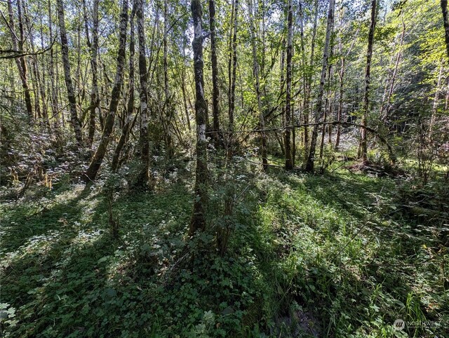 99994 Dowans Creek Rd, Forks, WA 98331