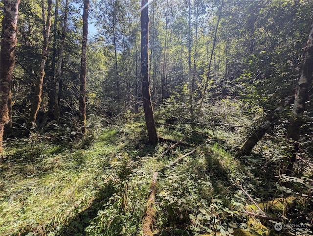 99994 Dowans Creek Rd, Forks, WA 98331