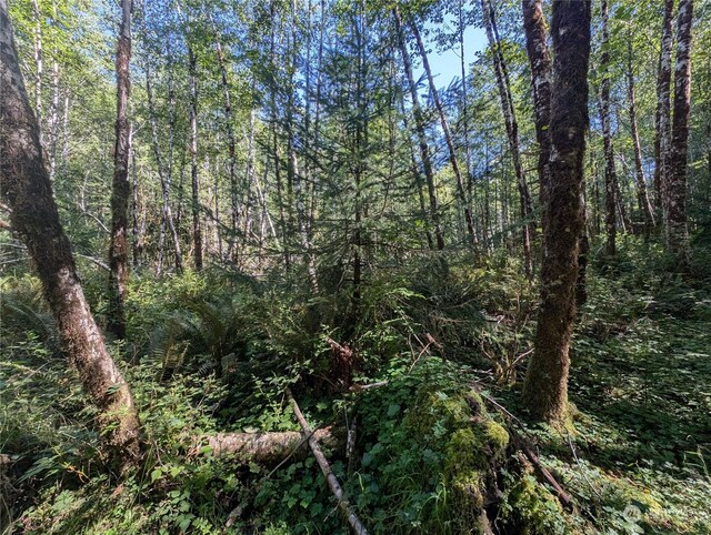 99994 Dowans Creek Rd, Forks, WA 98331
