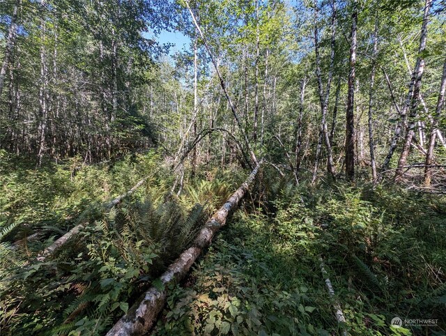 99994 Dowans Creek Rd, Forks, WA 98331