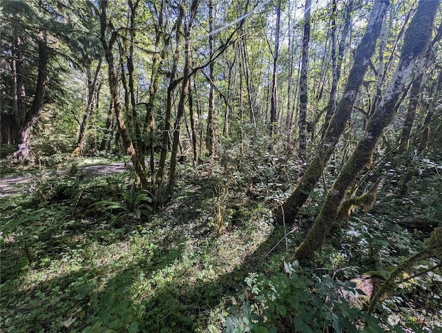 99994 Dowans Creek Rd, Forks, WA 98331