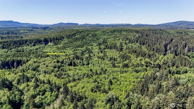 99994 Dowans Creek Rd, Forks, WA 98331