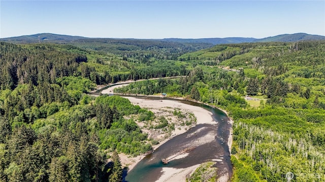 99994 Dowans Creek Rd, Forks, WA 98331