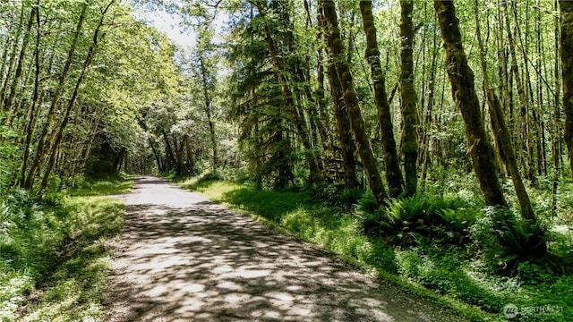 99994 Dowans Creek Rd, Forks, WA 98331