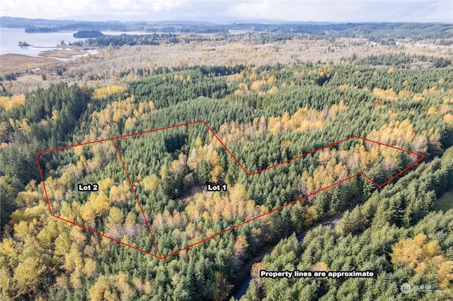 Listing photo 2 for 0 Misty Hill Rd Lot 1, Toutle WA 98649