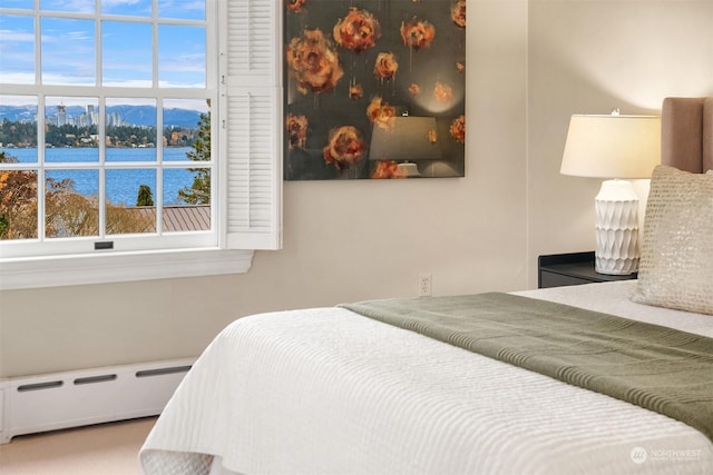 1107 39th Ave E, Seattle, WA 98112 - bedroom featuring baseboard heating and a water view