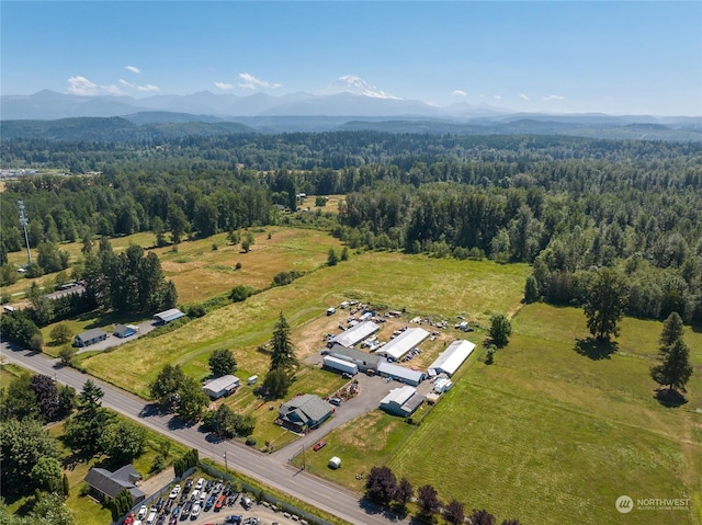 aerial view with a mountain view