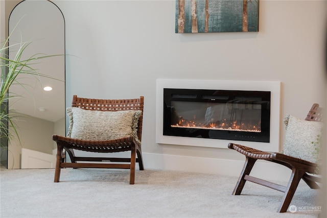 11412 8th Ave S, Burien, WA 98168 - living area with a glass covered fireplace and carpet floors