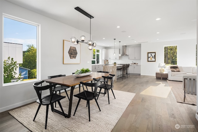 dining space featuring light wood-type flooring and plenty of natural light