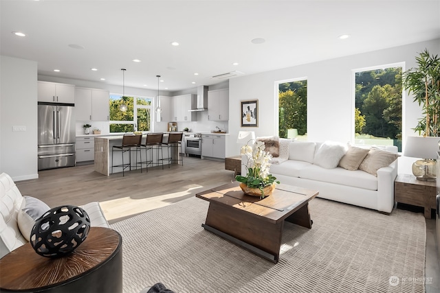 living room featuring light wood-type flooring