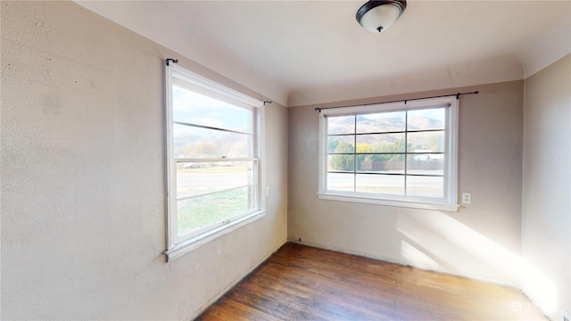 unfurnished room featuring dark wood-type flooring and a healthy amount of sunlight