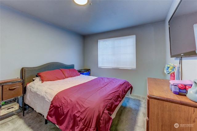 view of carpeted bedroom