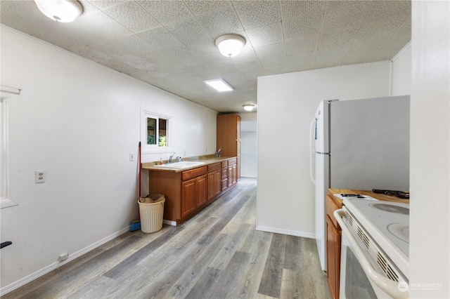 kitchen with light hardwood / wood-style flooring, sink, and white appliances