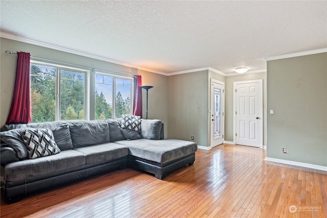 living room featuring light hardwood / wood-style floors, a textured ceiling, and ornamental molding