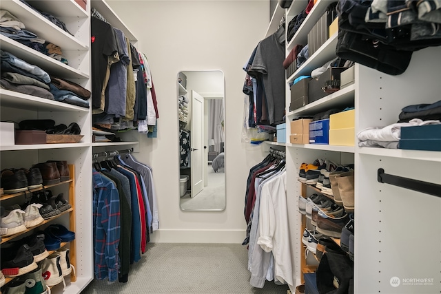 spacious closet with carpet floors