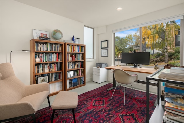 home office with carpet floors