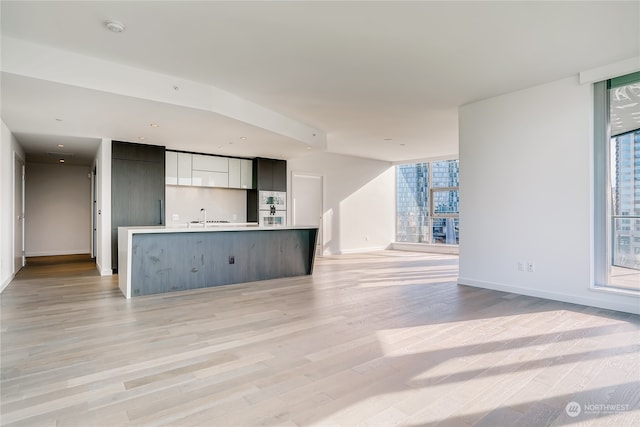 unfurnished living room featuring sink, light hardwood / wood-style flooring, and plenty of natural light