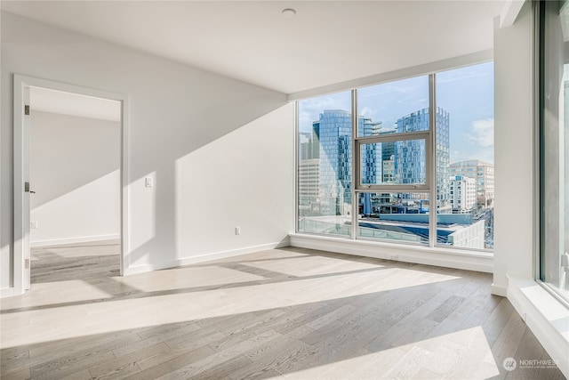 empty room with expansive windows and light wood-type flooring