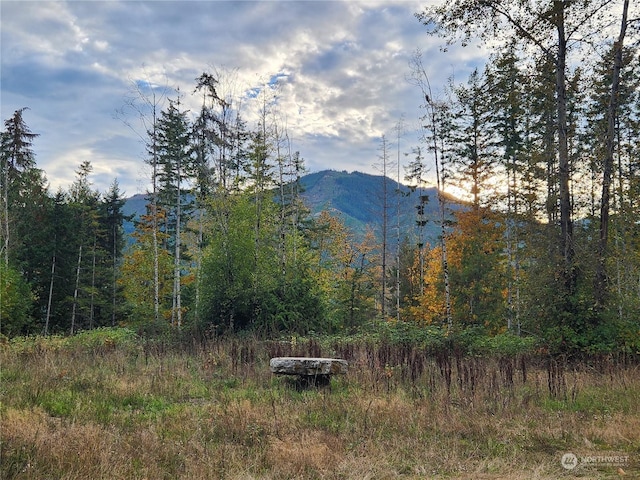 0 Rocky Brook Rd Lot K, Lot K, Brinnon, WA 98320 - photo 1