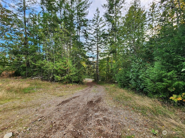 Listing photo 2 for 0 Rocky Brook Rd Lot K, Lot K, Brinnon WA 98320