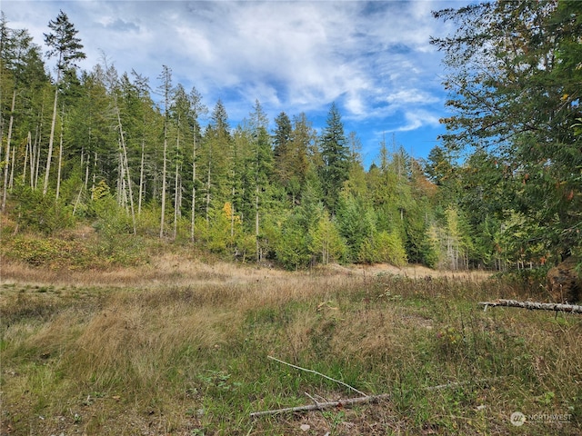 Listing photo 3 for 0 Rocky Brook Rd Lot K, Lot K, Brinnon WA 98320