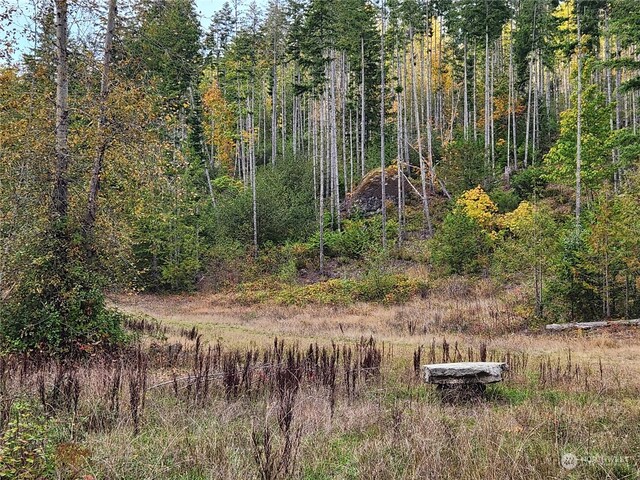 0 Rocky Brook Rd Lot K, Lot K, Brinnon, WA 98320 - photo 4