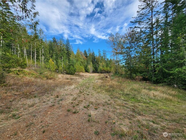 0 Rocky Brook Rd Lot K, Lot K, Brinnon, WA 98320 - photo 5