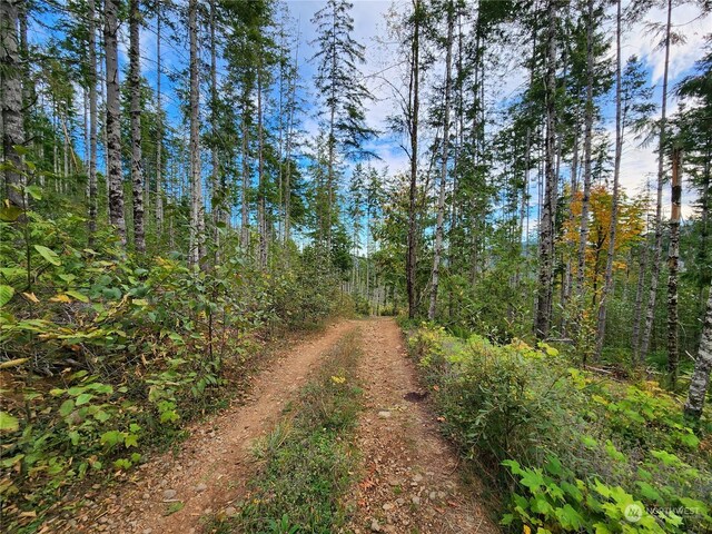 0 Rocky Brook Rd Lot K, Lot K, Brinnon, WA 98320 - photo 6
