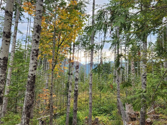 0 Rocky Brook Rd Lot K, Lot K, Brinnon, WA 98320 - photo 7