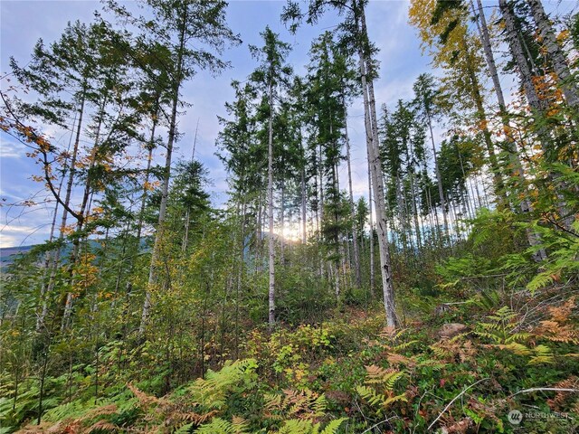 0 Rocky Brook Rd Lot K, Lot K, Brinnon, WA 98320 - photo 8
