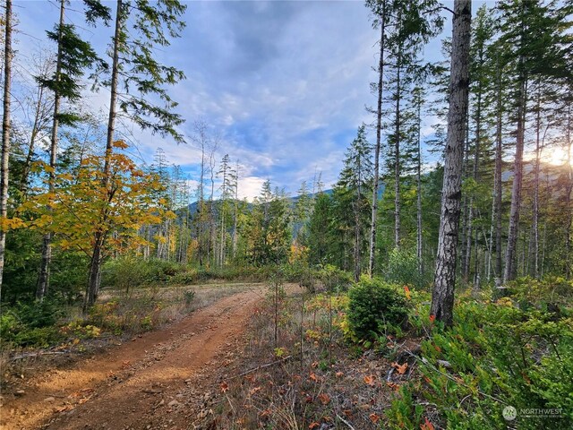 0 Rocky Brook Rd Lot K, Lot K, Brinnon, WA 98320 - photo 11