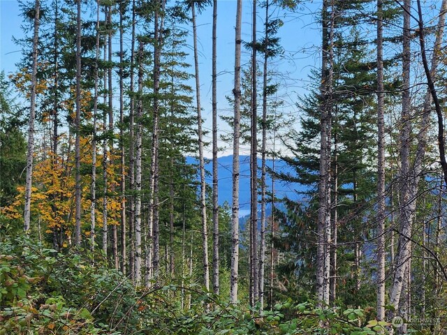 0 Rocky Brook Rd Lot K, Lot K, Brinnon, WA 98320 - photo 13