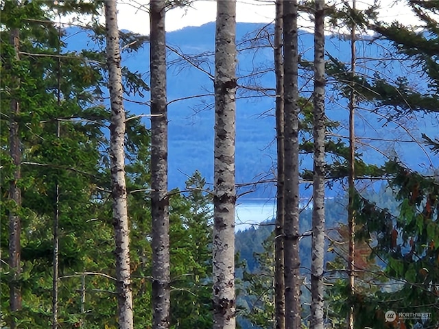 0 Rocky Brook Rd Lot K, Lot K, Brinnon, WA 98320 - photo 14