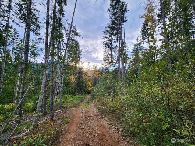 0 Rocky Brook Rd Lot K, Lot K, Brinnon, WA 98320 - photo 15