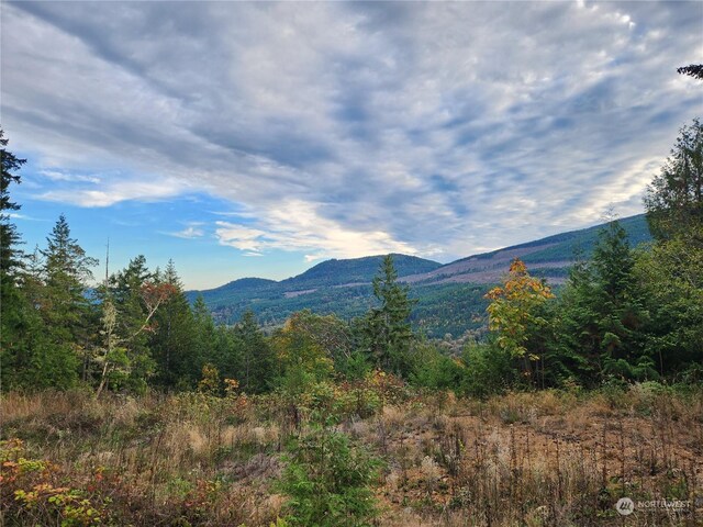 0 Rocky Brook Rd Lot K, Lot K, Brinnon, WA 98320 - photo 16