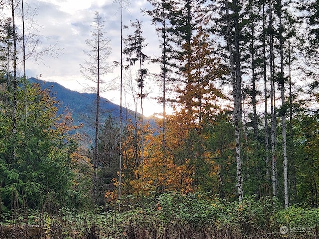 0 Rocky Brook Rd Lot K, Lot K, Brinnon, WA 98320 - photo 17
