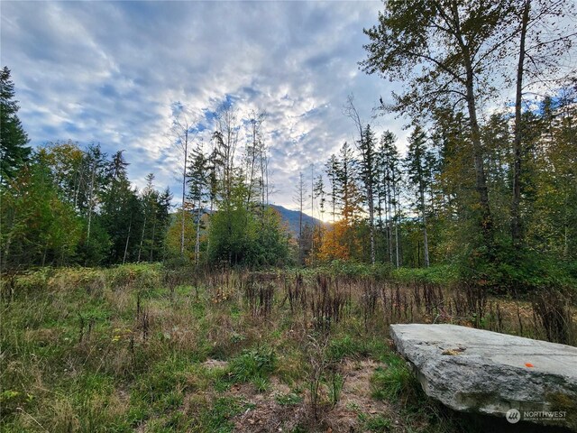 0 Rocky Brook Rd Lot K, Lot K, Brinnon, WA 98320 - photo 18