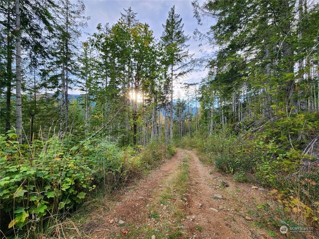 0 Rocky Brook Rd Lot K, Lot K, Brinnon, WA 98320 - photo 19