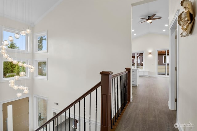 hall featuring a notable chandelier, high vaulted ceiling, and dark hardwood / wood-style flooring