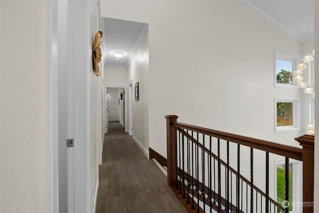 hallway featuring ornamental molding, dark hardwood / wood-style floors, and an inviting chandelier