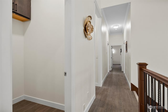 hallway featuring crown molding and dark hardwood / wood-style floors