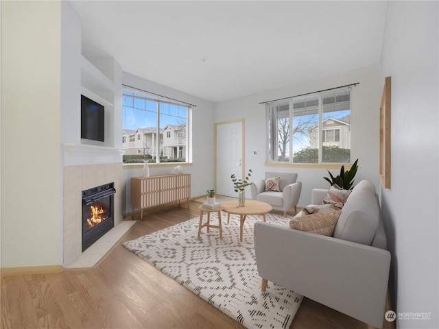 living room with a tiled fireplace, radiator, and light wood-type flooring