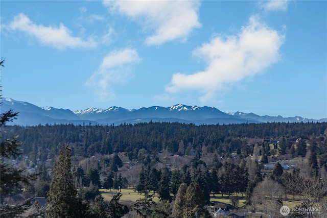 view of mountain feature featuring a view of trees