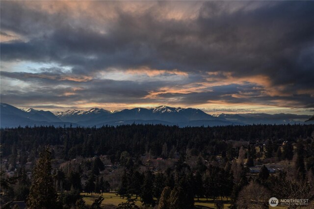 property view of mountains with a forest view