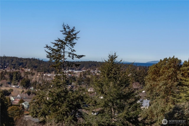 property view of mountains with a view of trees