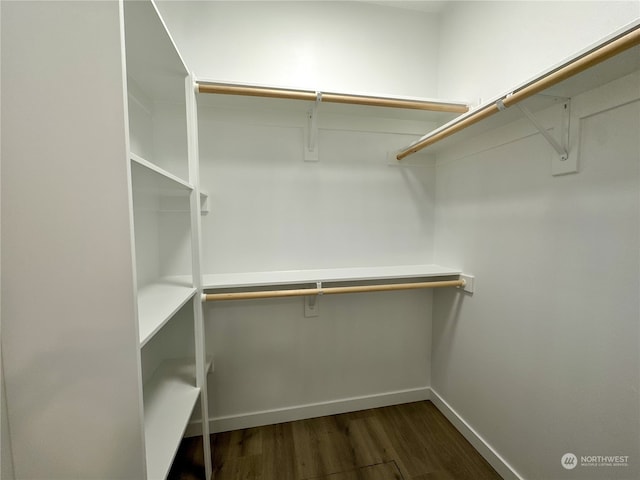 walk in closet featuring dark hardwood / wood-style floors