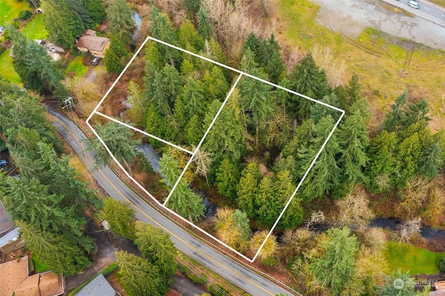18330 Butternut Rd, Lynnwood, WA 98037 - photo 2