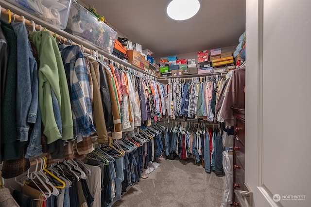 walk in closet with carpet flooring